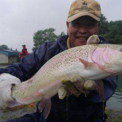 つりぼりあかし 釣果