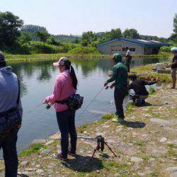 つりぼりあかし 釣果