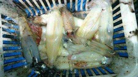 海龍丸（石川） 釣果