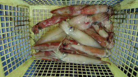 あみや渡船 JIGBOY 釣果