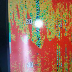 サンマリン 釣果