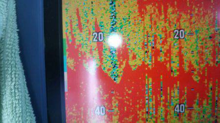 サンマリン 釣果