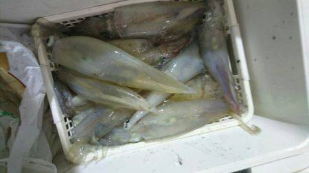 海龍丸（石川） 釣果