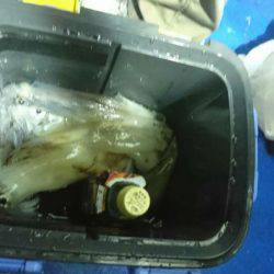 海龍丸（石川） 釣果