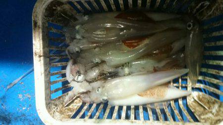 海龍丸（石川） 釣果