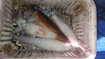 海龍丸（石川） 釣果