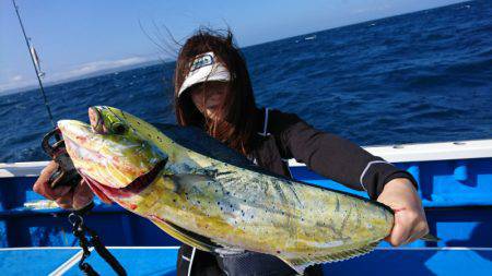 第三共栄丸 釣果