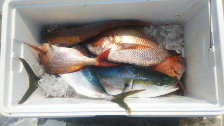 ブルドック 釣果