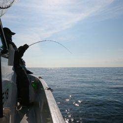 遊漁船 家入 釣果