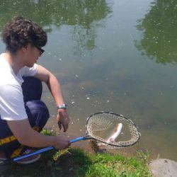 つりぼりあかし 釣果