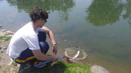 つりぼりあかし 釣果