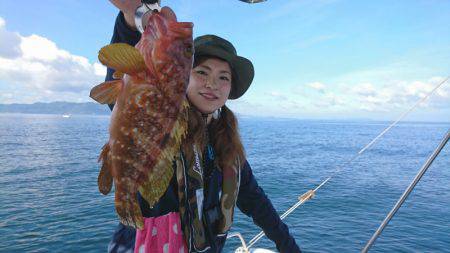 遊漁船　家入 釣果