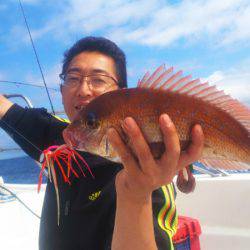 ブルドック 釣果