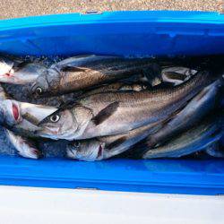 海龍丸（石川） 釣果