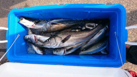 海龍丸（石川） 釣果