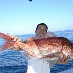 だて丸 釣果