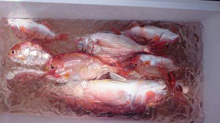 海龍丸（石川） 釣果