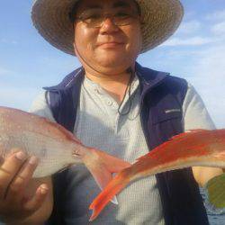 サンマリン 釣果