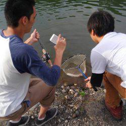 つりぼりあかし 釣果