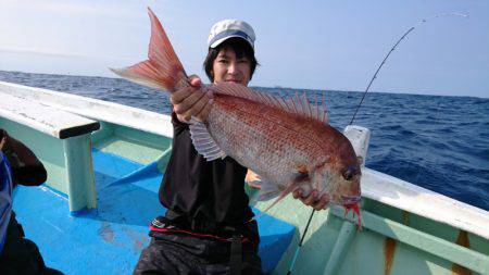 だて丸 釣果