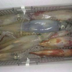 海龍丸（石川） 釣果