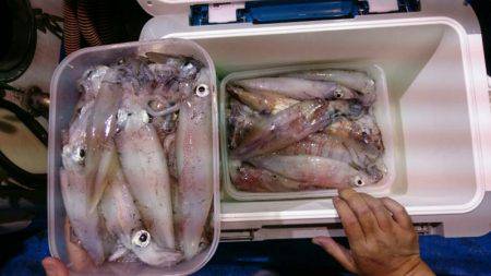 海龍丸（石川） 釣果