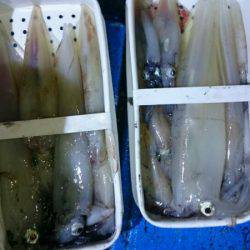 海龍丸（石川） 釣果