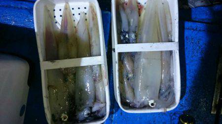 海龍丸（石川） 釣果