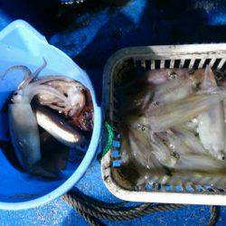 海龍丸（石川） 釣果