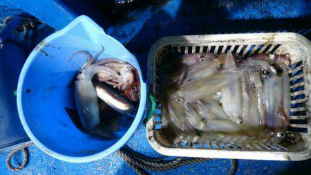 海龍丸（石川） 釣果