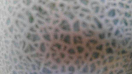 つりぼりあかし 釣果