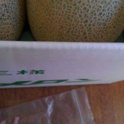 つりぼりあかし 釣果