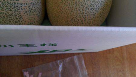 つりぼりあかし 釣果