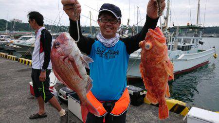 だて丸 釣果