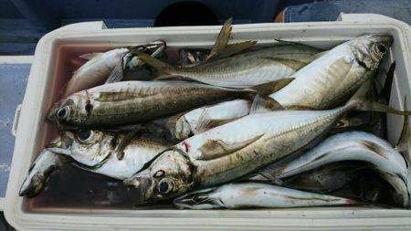 金沢八景鴨下丸 釣果