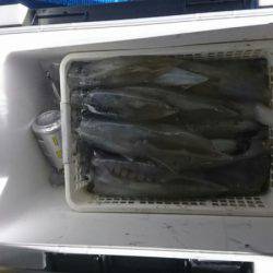 海龍丸(石川) 釣果