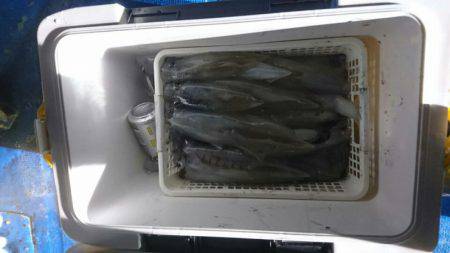 海龍丸(石川) 釣果