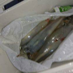 海龍丸(石川) 釣果