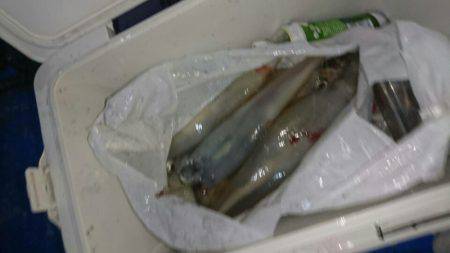 海龍丸(石川) 釣果