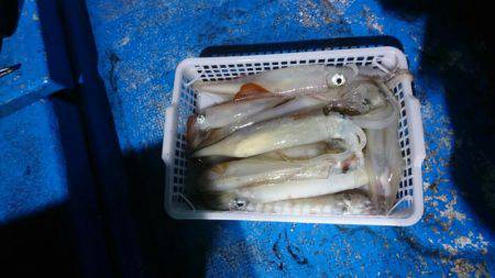 海龍丸(石川) 釣果