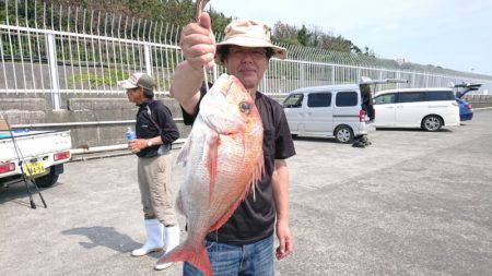 だて丸 釣果