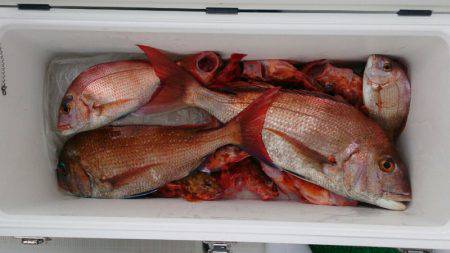 遊漁船　家入 釣果