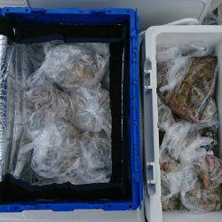 遊漁船 家入 釣果