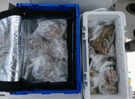 遊漁船 家入 釣果