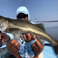 アマテラス 釣果