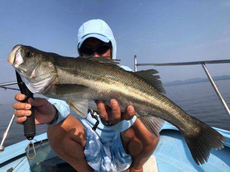 アマテラス 釣果