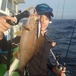 丸万釣船 釣果