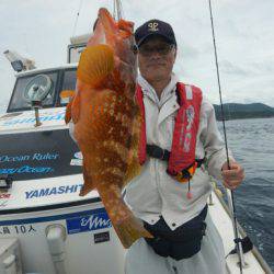 きずなまりん 釣果