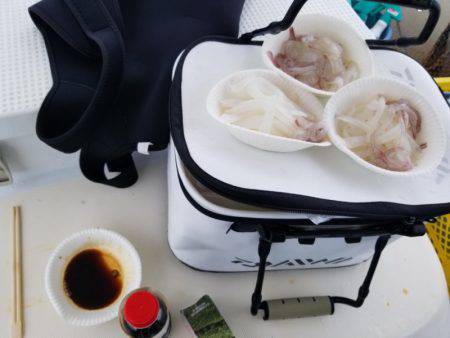 ソルトウォーターガイドフレンズ 釣果