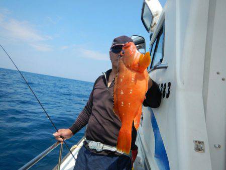 きずなまりん 釣果